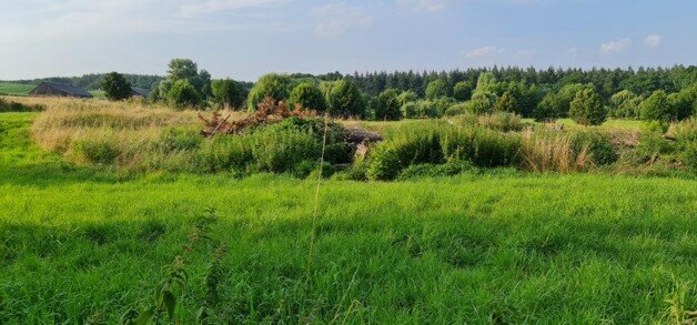 Grundstück in Mecklenburgische Seenplatte, Germany, Nr. 173418