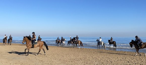 Квартира с 3 спальнями в Мекленбург-Передняя Померания, Германия № 127971 17