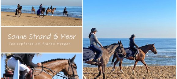 Квартира с 3 спальнями в Мекленбург-Передняя Померания, Германия № 127971 16