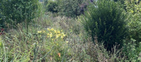 2 bedrooms Townhouse in Essen, Germany No. 278577 15