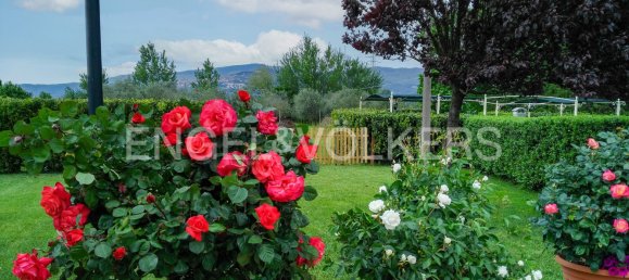 1 bedroom Apartment in Cortona, Italy No. 127852 10