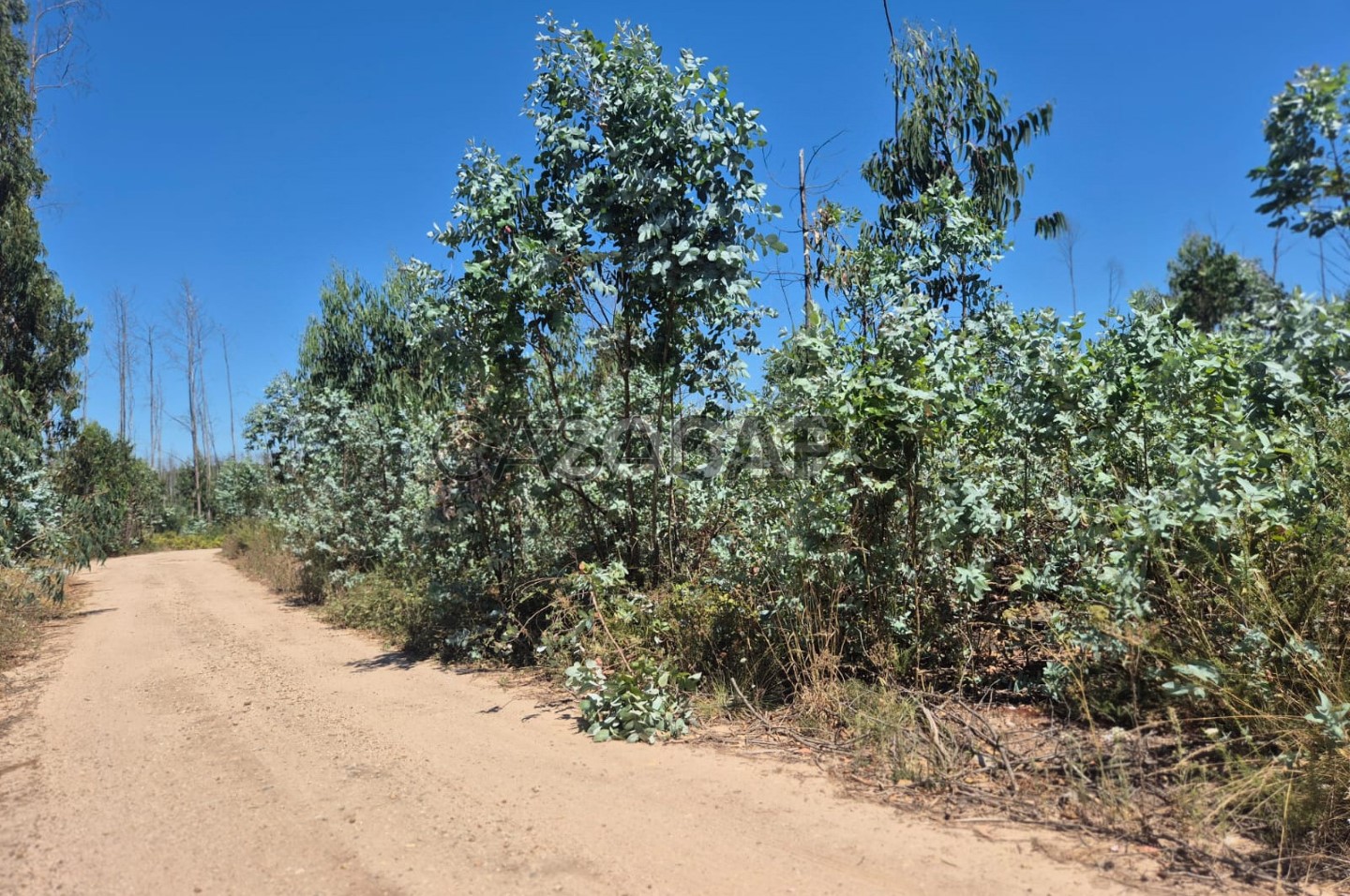  Land in Caranguejeira, Portugal No. 322194