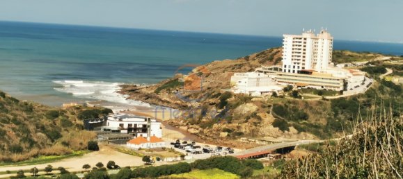 5 bedrooms House in Torres Vedras, Portugal No. 96306 5