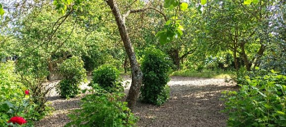 Casa de 2 dormitorios en Lillers, France No. 295319 14