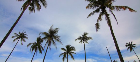 5 bedrooms Villa in Naithon Beach, Thailand No. 25994 11