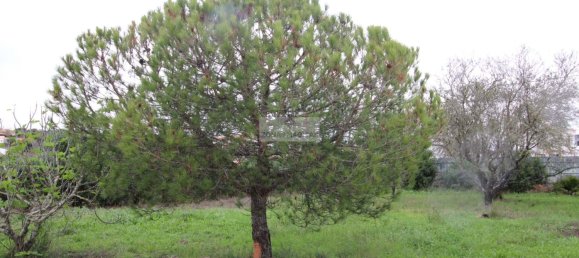 3 bedrooms House in Luz, Portugal No. 121513 44