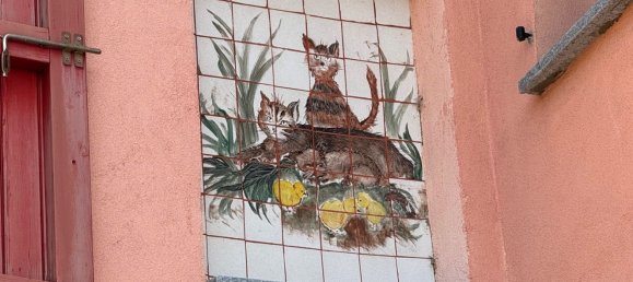 3 غرف نوم منزل في Stradella, Italy رقم 365645 39