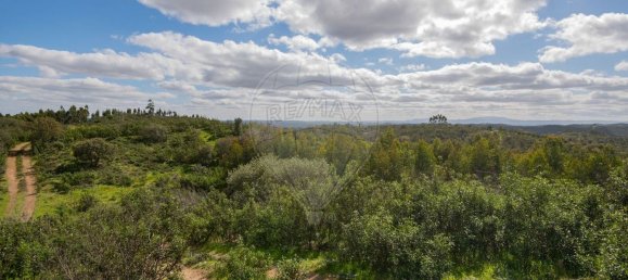 1 Schlafzimmer Haus in Sao Martinho das Amoreiras, Portugal, Nr. 47563 21