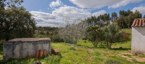 1 Schlafzimmer Haus in Sao Martinho das Amoreiras, Portugal, Nr. 47563 22