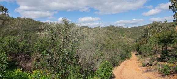 1 Schlafzimmer Haus in Sao Martinho das Amoreiras, Portugal, Nr. 47563 18