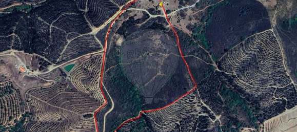 1 Schlafzimmer Haus in Sao Martinho das Amoreiras, Portugal, Nr. 47563 35