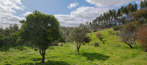 1 Schlafzimmer Haus in Sao Martinho das Amoreiras, Portugal, Nr. 47563 39