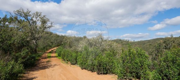 1 Schlafzimmer Haus in Sao Martinho das Amoreiras, Portugal, Nr. 47563 19