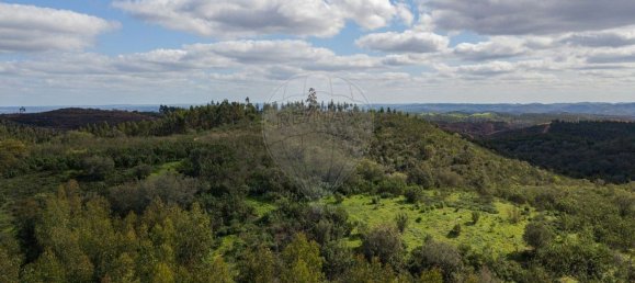 1 Schlafzimmer Haus in Sao Martinho das Amoreiras, Portugal, Nr. 47563 16