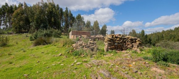 1 Schlafzimmer Haus in Sao Martinho das Amoreiras, Portugal, Nr. 47563 37