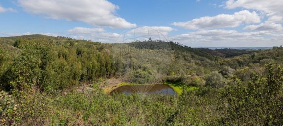 1 Schlafzimmer Haus in Sao Martinho das Amoreiras, Portugal, Nr. 47563 17