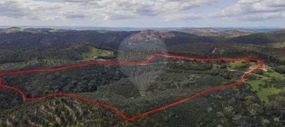 1 Schlafzimmer Haus in Sao Martinho das Amoreiras, Portugal, Nr. 47563 12