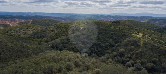 1 Schlafzimmer Haus in Sao Martinho das Amoreiras, Portugal, Nr. 47563 6