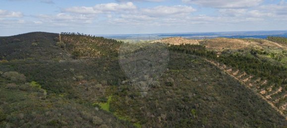 1 Schlafzimmer Haus in Sao Martinho das Amoreiras, Portugal, Nr. 47563 8