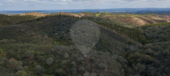 1 Schlafzimmer Haus in Sao Martinho das Amoreiras, Portugal, Nr. 47563 10