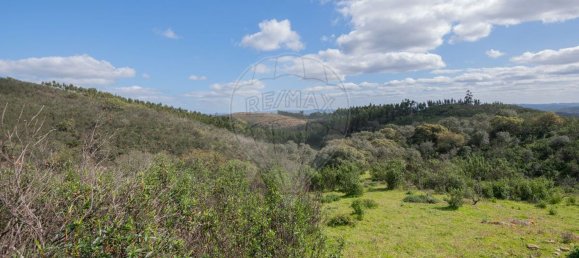 1 Schlafzimmer Haus in Sao Martinho das Amoreiras, Portugal, Nr. 47563 36