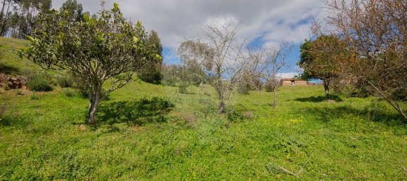 1 Schlafzimmer Haus in Sao Martinho das Amoreiras, Portugal, Nr. 47563 20