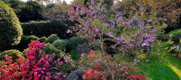 5 bedrooms House in Solihull, United Kingdom No. 14499 15