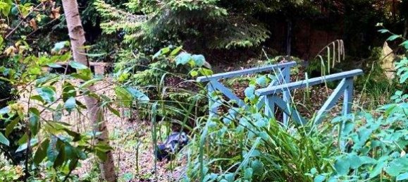 5 bedrooms House in Solihull, United Kingdom No. 14499 25