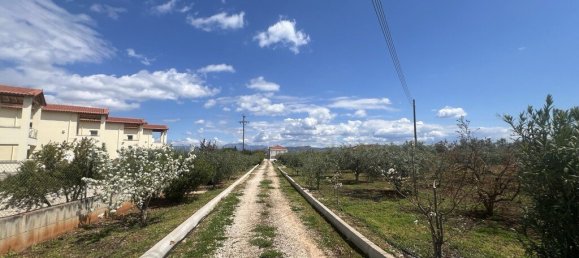 7 Schlafzimmer Villa in Arcadia, Greece, Nr. 53331 24