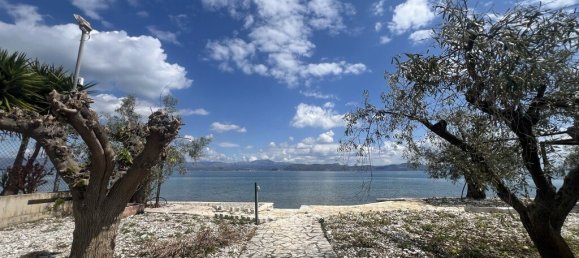 7 Schlafzimmer Villa in Arcadia, Greece, Nr. 53331 16