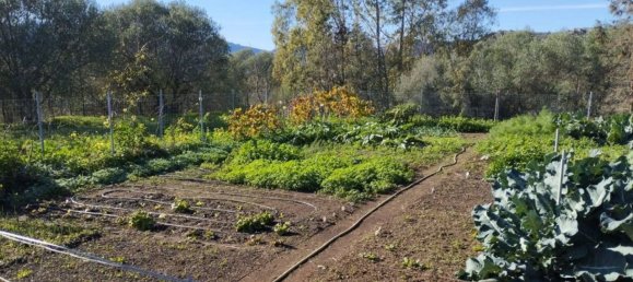 6 rooms Villa in Sardinia, Italy No. 275612 34