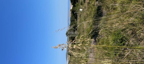 Land in Es Mercadal, Spain No. 1922 2