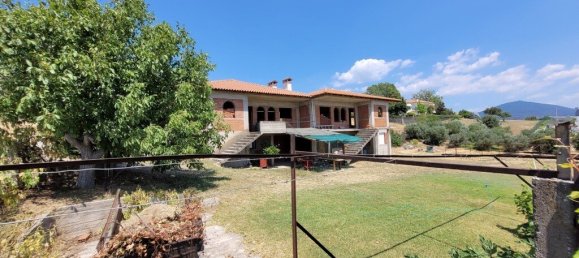 Коммерческая недвижимость 400м² в Panorama, Пилея-Хортиатис, Салоники, Центральная Македония, Македония и Фракия, Греция № 52357 10