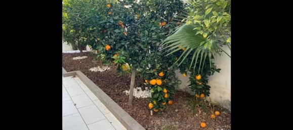 3 Schlafzimmer Villa in Ciudad Quesada, Spain, Nr. 176047 48