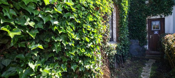 Bungalow de 4 habitaciónes en Friesland, Germany No. 229431 23