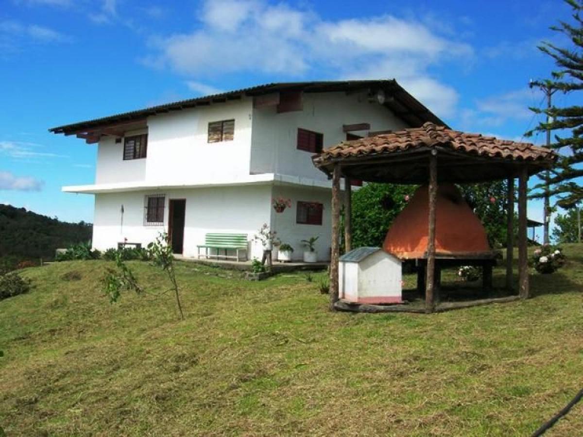 Studio in Valle del Cauca, Colombia No. 2328