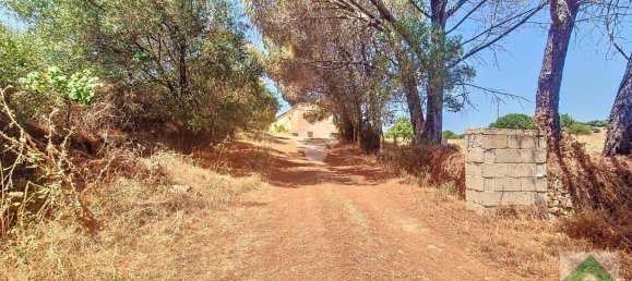 1 bedroom House in Arzachena, Italy No. 370167 10