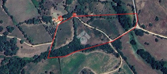 1 bedroom House in Arzachena, Italy No. 370167 11