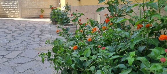 3 bedrooms Apartment in Ardea, Italy No. 321646 13