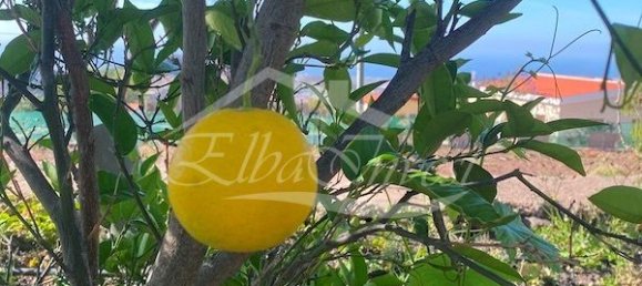 Casa de 4 dormitorios en San Miguel de Abona, Spain No. 167260 49