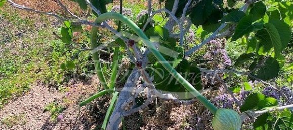 Casa de 4 dormitorios en San Miguel de Abona, Spain No. 167260 48