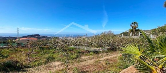 Casa de 4 dormitorios en San Miguel de Abona, Spain No. 167260 46