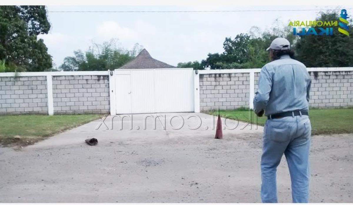  Land in Veracruz, Mexico No. 203131