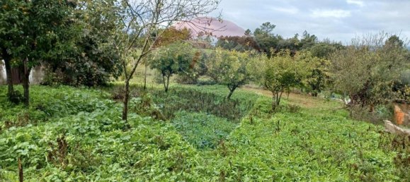 3 غرف نوم منزل في Fratel, Portugal رقم 175954 2