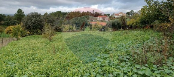 3 غرف نوم منزل في Fratel, Portugal رقم 175954 7