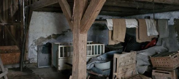 6 bedrooms Farm in Saxony, Germany No. 174861 24