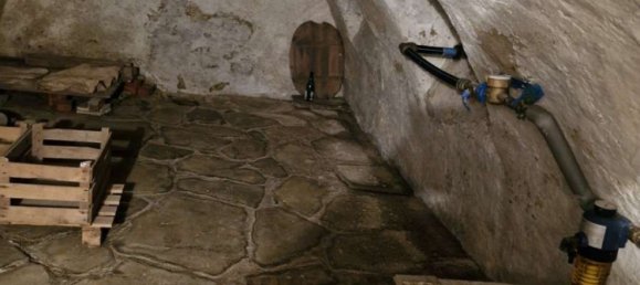 6 bedrooms Farm in Saxony, Germany No. 174861 15