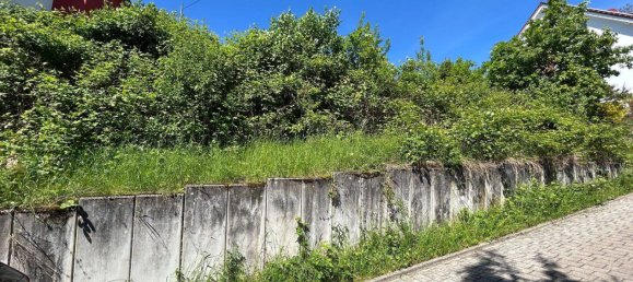 Земельный участок в Энц, Германия № 340001 3