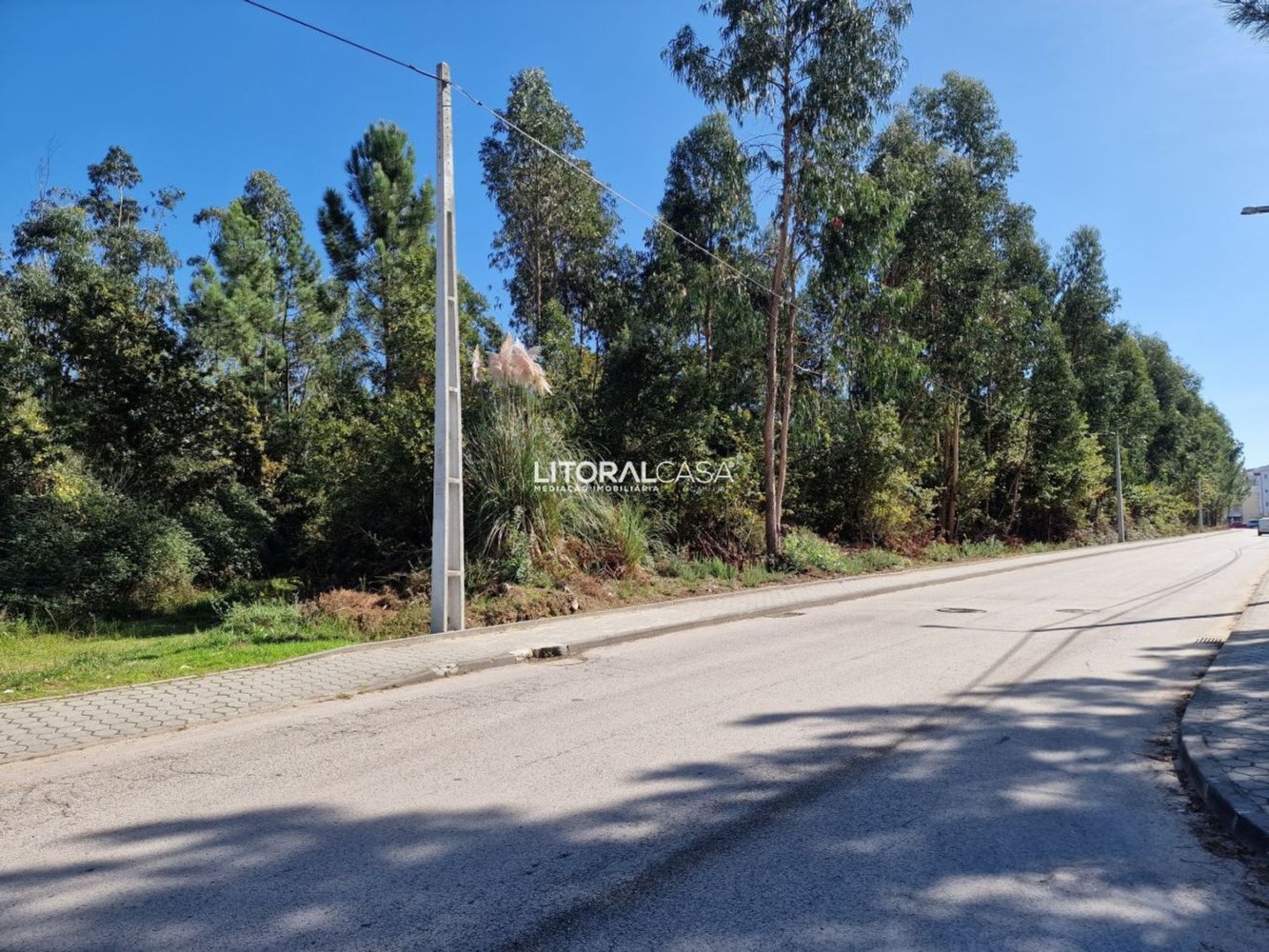 Terreno em Oliveira de Azeméis, Portugal 5667 m² N.º 67220