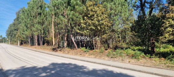 Terreno em Oliveira de Azeméis, Portugal 5667 m² N.º 67220 7